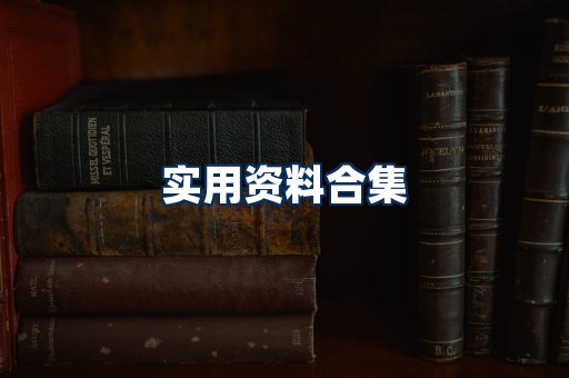 实用PDF资料展示
